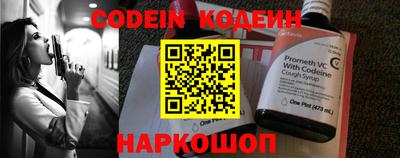 МДПВ Кингисепп