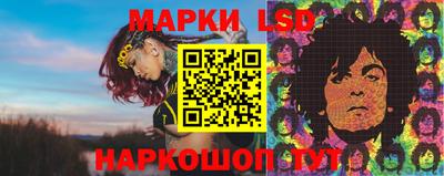 МДПВ Кингисепп