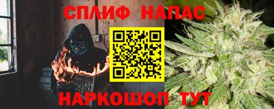 МДПВ Кингисепп