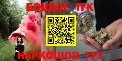 МДПВ Кингисепп
