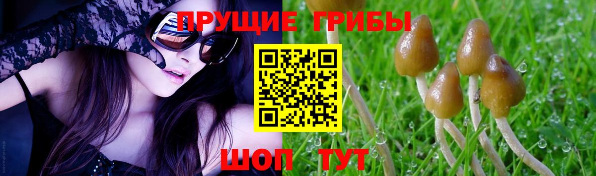 Галлюциногенные грибы Psilocybine cubensis  Вход с VPN  где продают   Коркино 