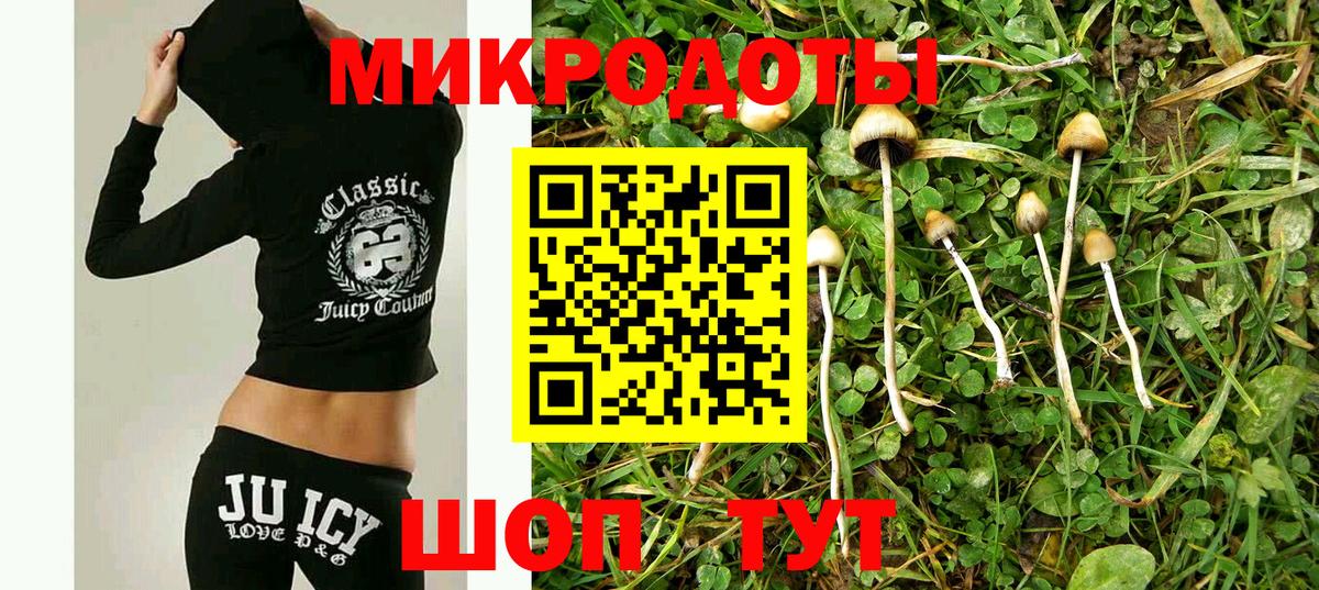 Псилоцибиновые грибы Psilocybine cubensis Коркино